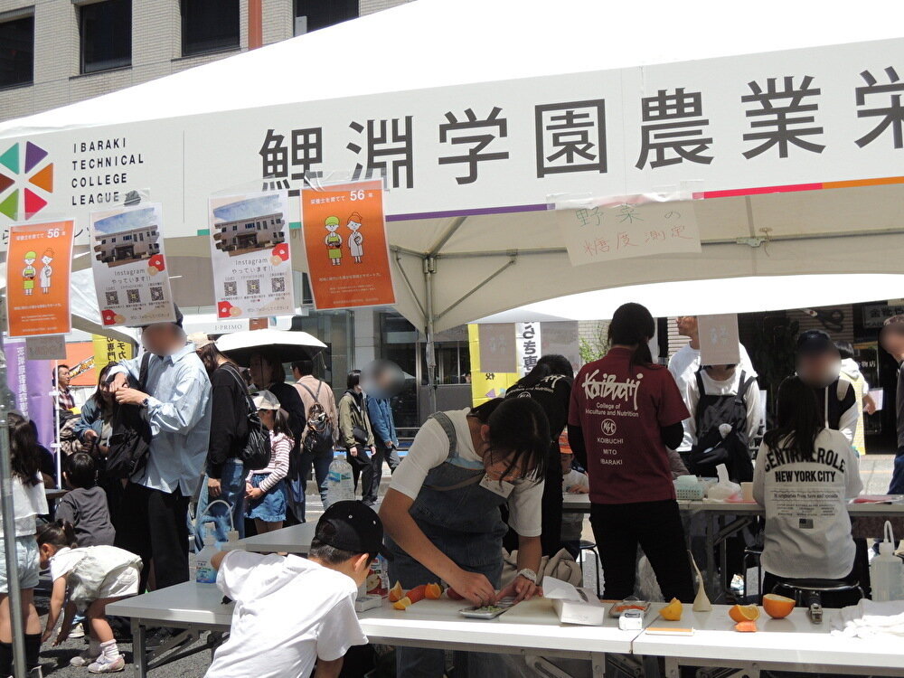 DSCN1033ぼかし.JPG