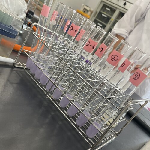 ①人工膵液による脂質の消化.jpg